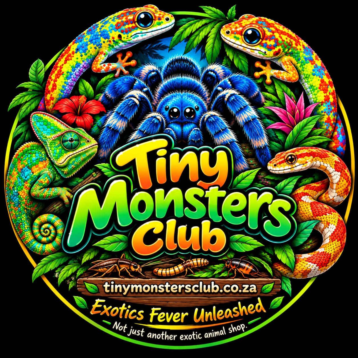 Tiny Monsters Club